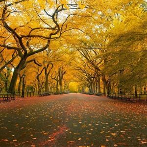 Meet your Posher, Nguyen